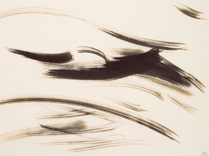 Gestes noirs - Dora Maar 